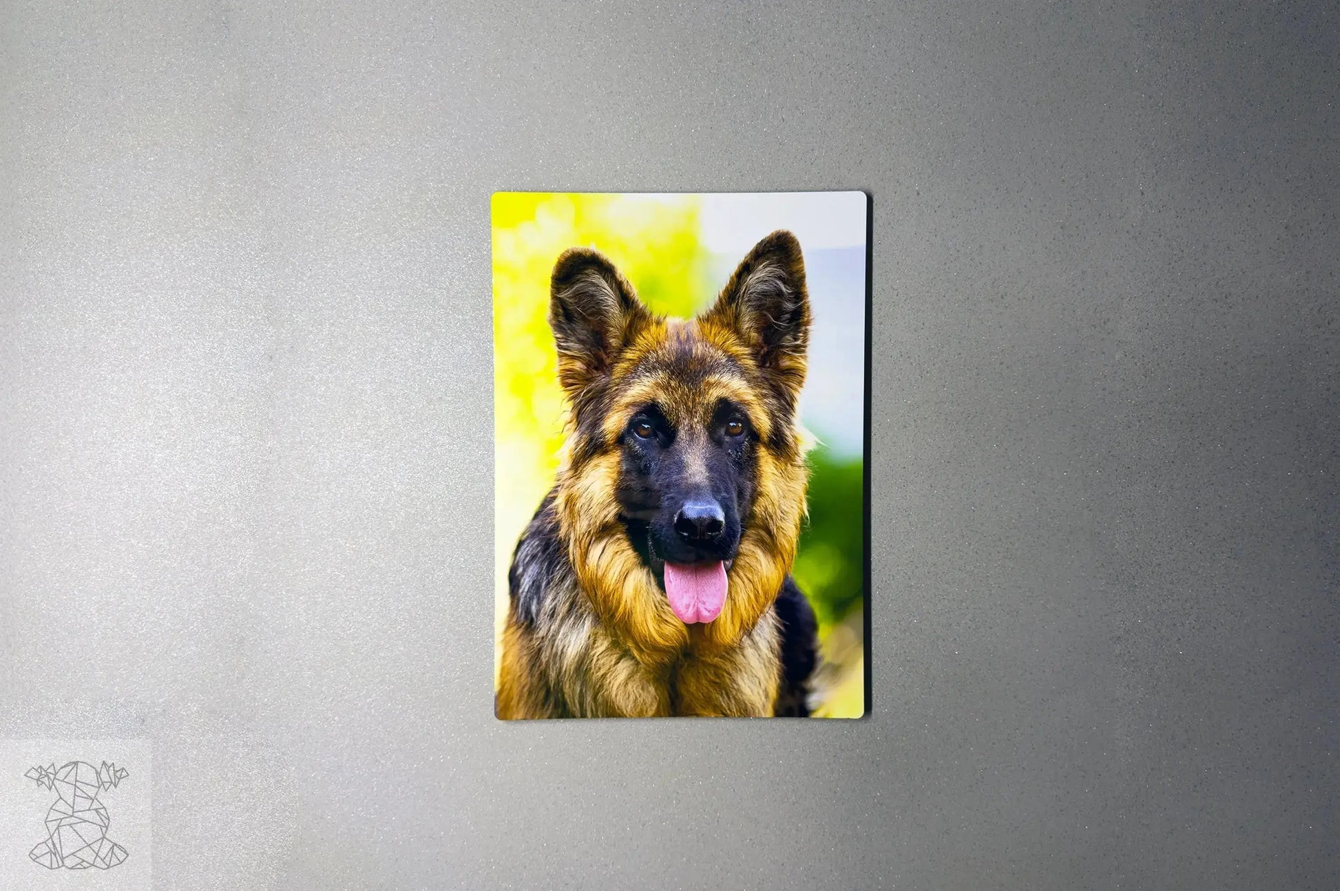 Design Metal Prints – Discover the Beauty of Metal Prints Bolot Studio