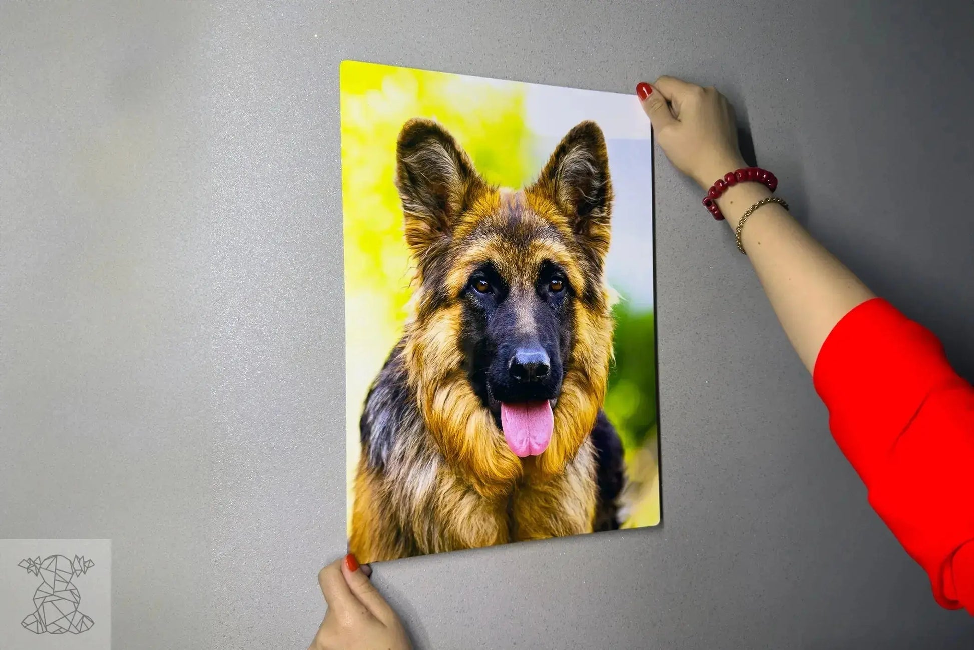 Design Metal Prints – Discover the Beauty of Metal Prints Bolot Studio