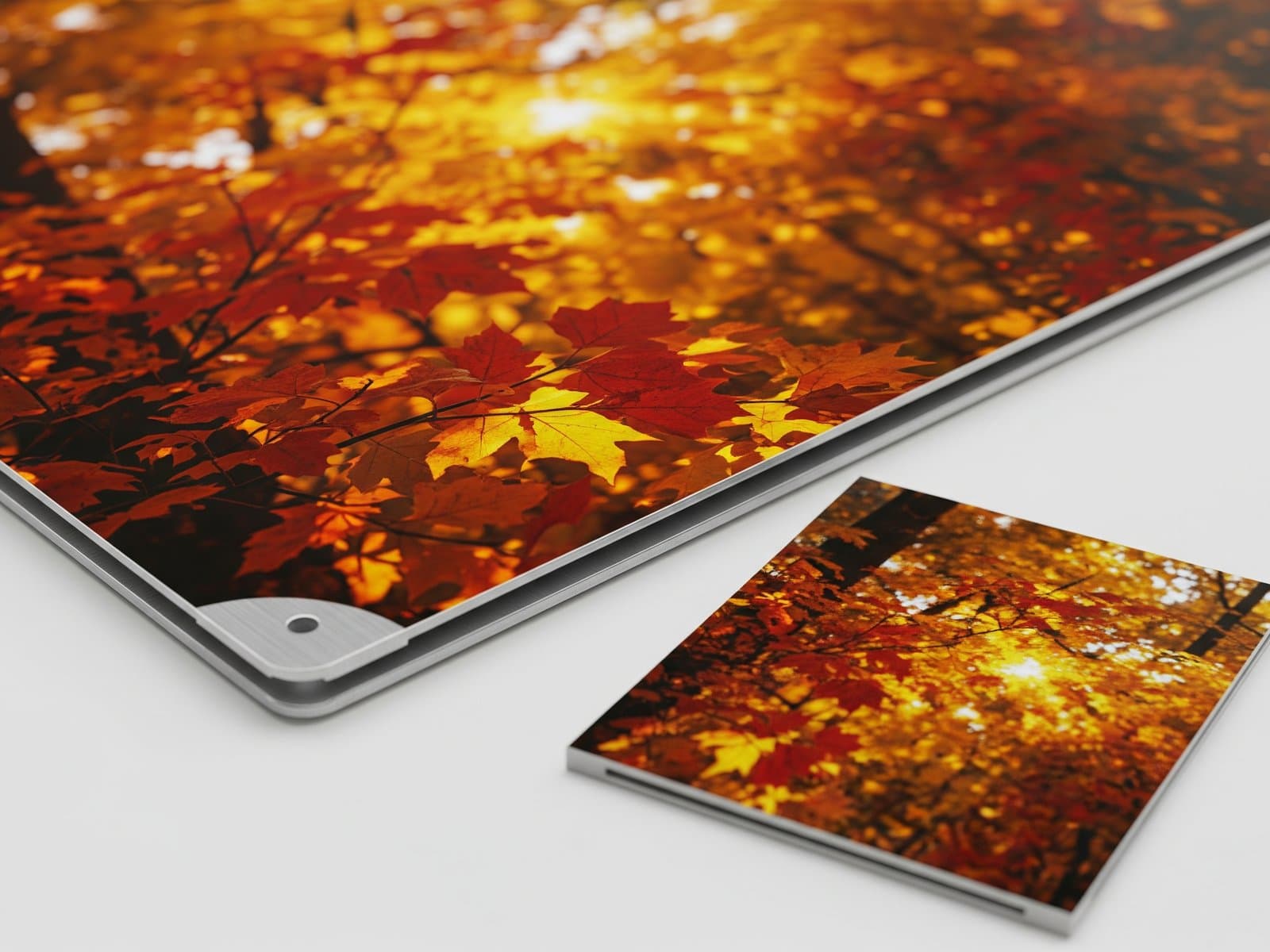 Close-up of a vivid glossy metal print of autumn leaves showing depth and colour, held beside a matte sample
