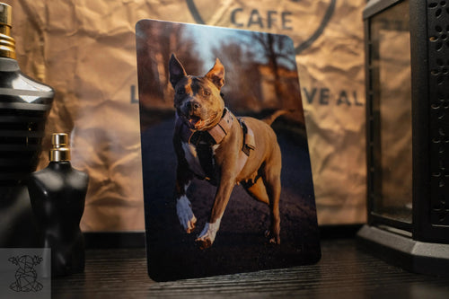 Small glossy metal panel of running pit bull displayed in modern décor, emphasising colour depth and sheen.