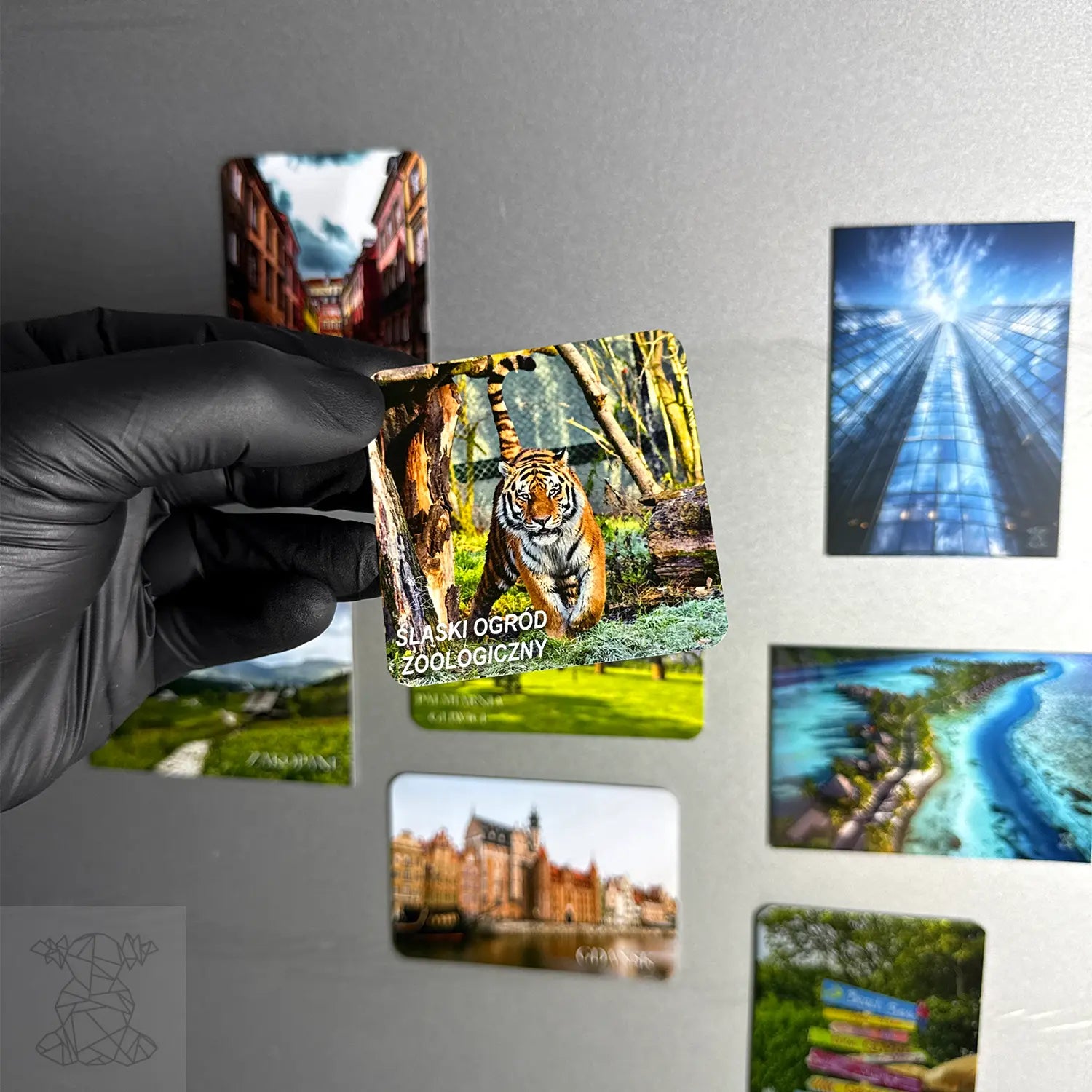Premium Metal Magnet Bolot Studio