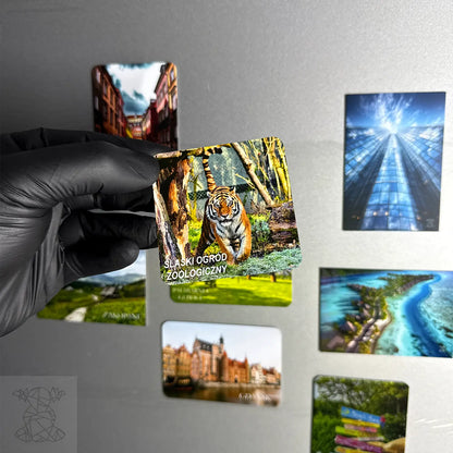 Premium Metal Magnet Bolot Studio