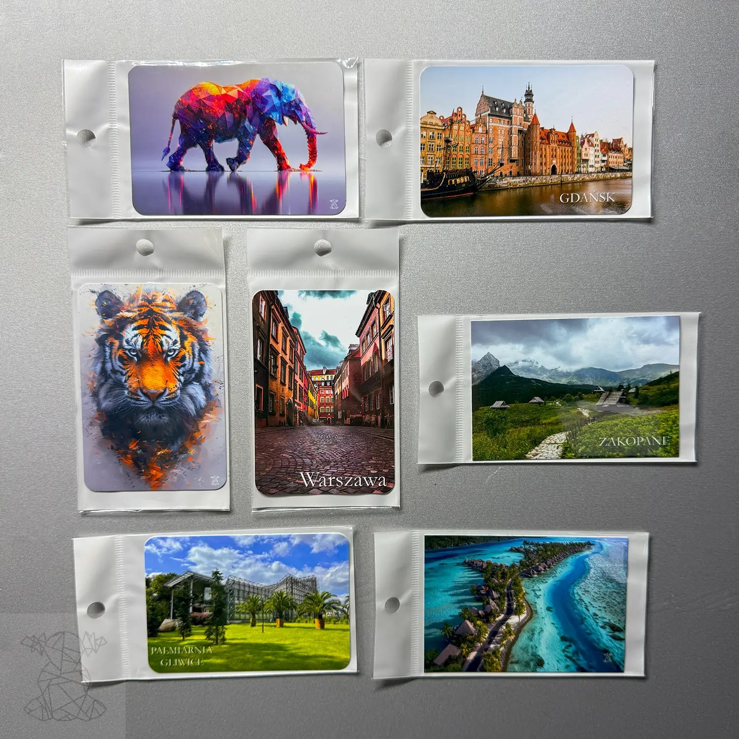 Packaged metal magnet set featuring landmarks and wildlife designs including Gdańsk, Warszawa, Zakopane, tiger, elephant, and tropical island — ideal for souvenirs and gifting